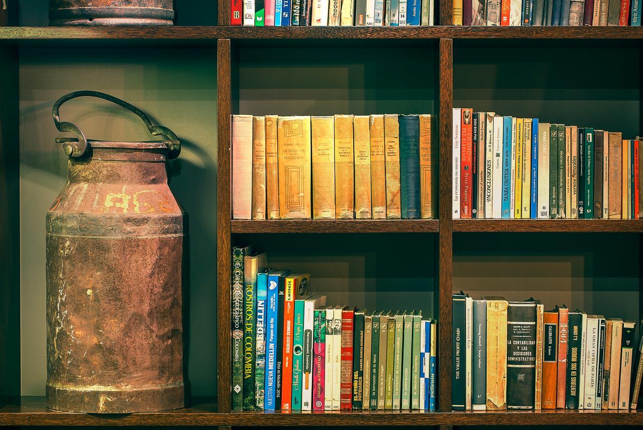 فندق سايتس ميديلين المظهر الخارجي الصورة Books on a bookshelf